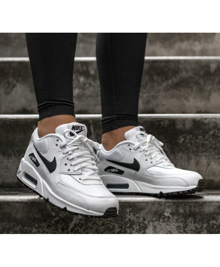 lebron soldier 4 gris